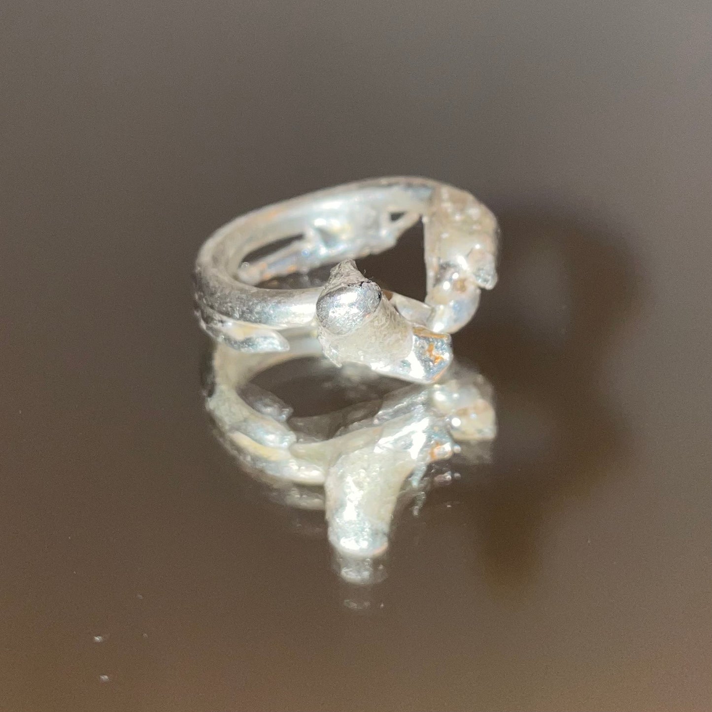 dolphin 999 silver ring